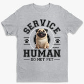 677fa5b10a3bf_large