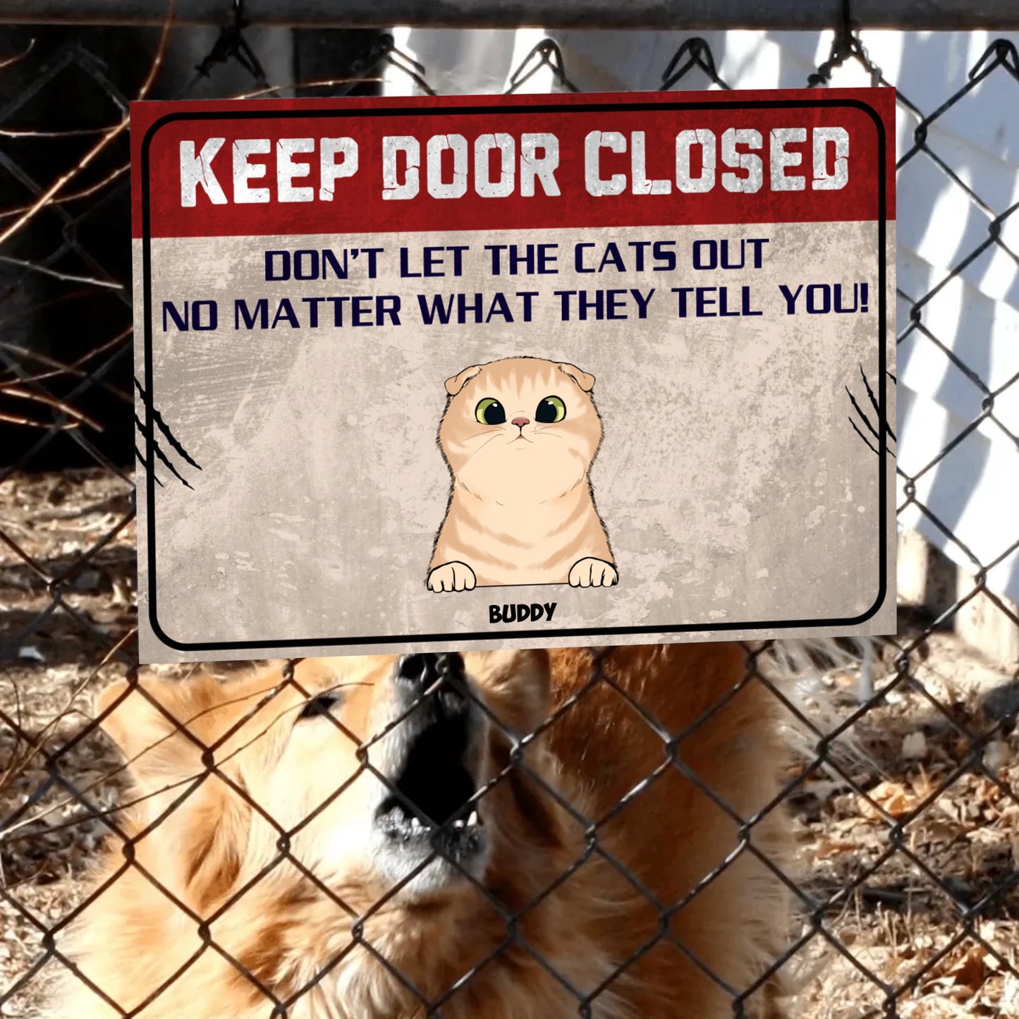 608639a47d049_large