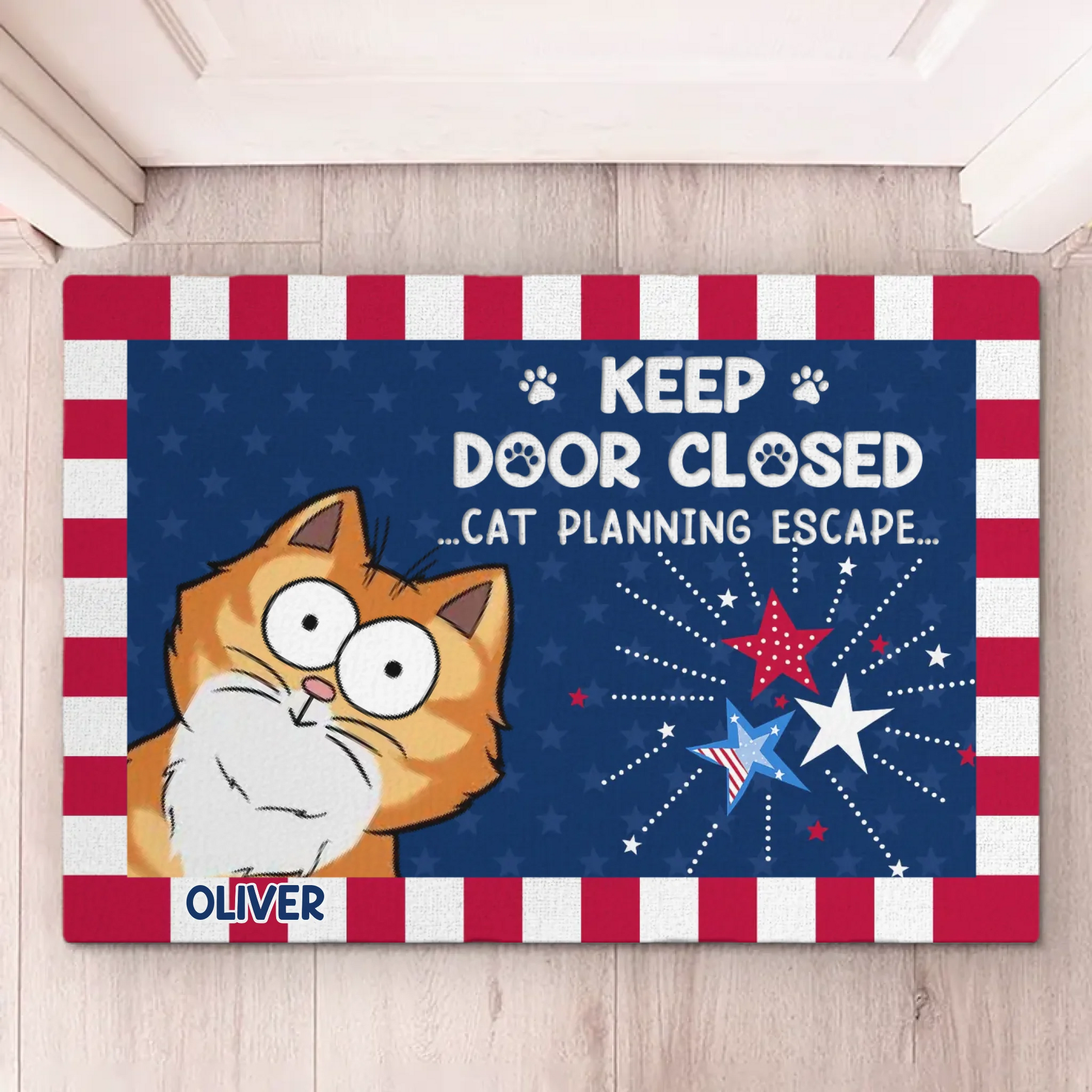 667bd2748ce73_large