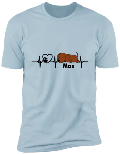 619b1295c6a8e_large