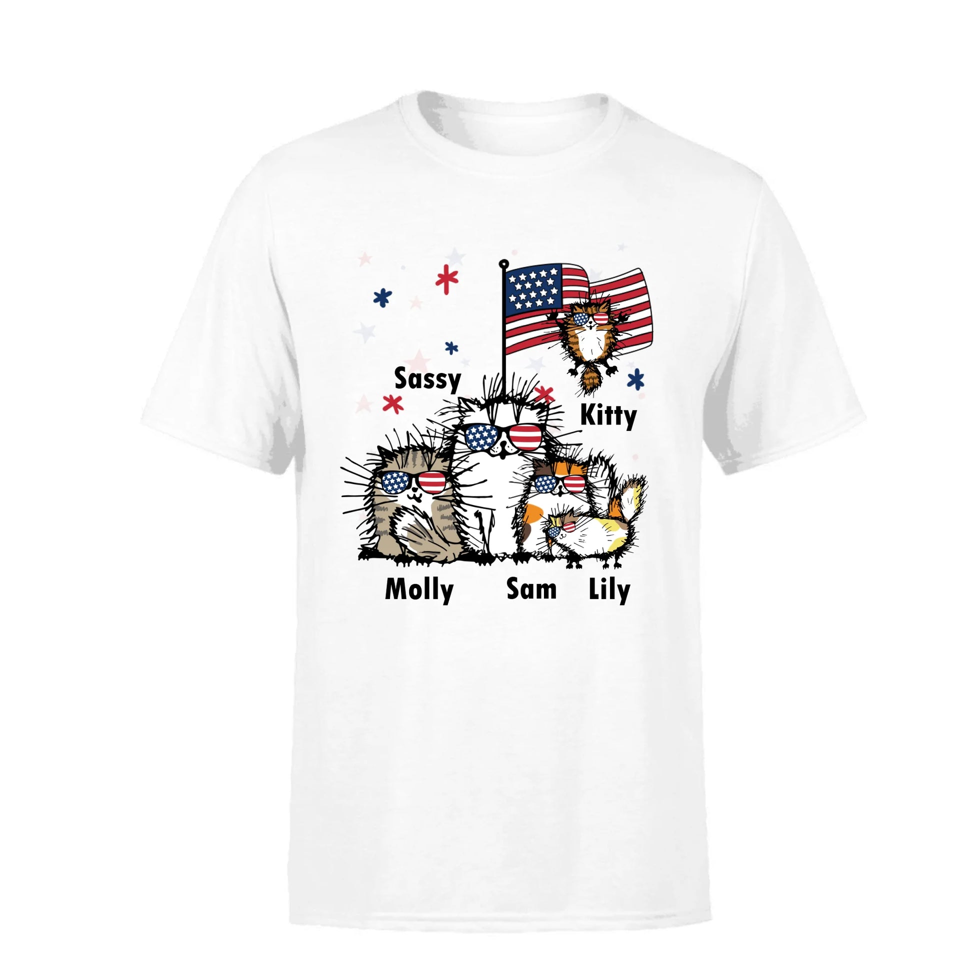 60a381e25ef6e_large